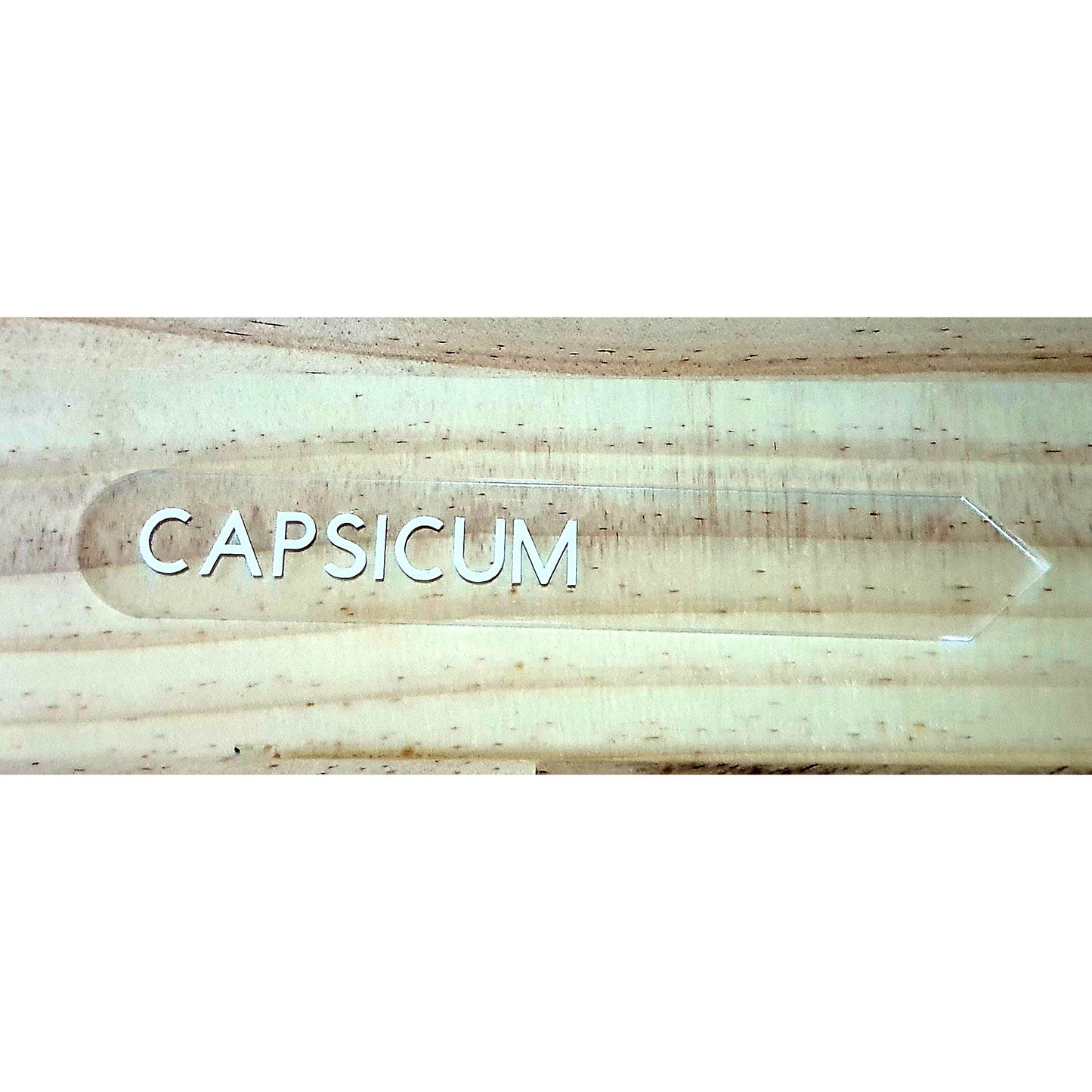capsicum-garden-label-single
