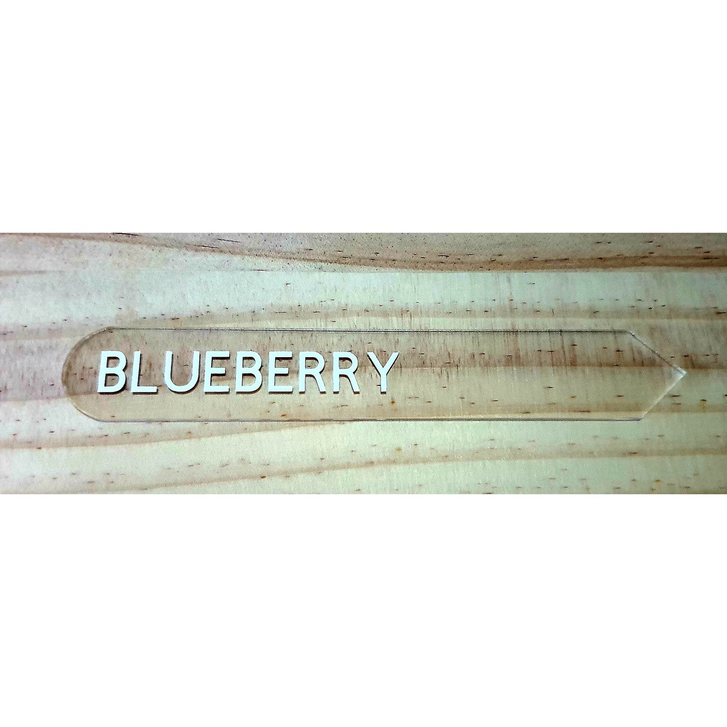 Blueberry Label single