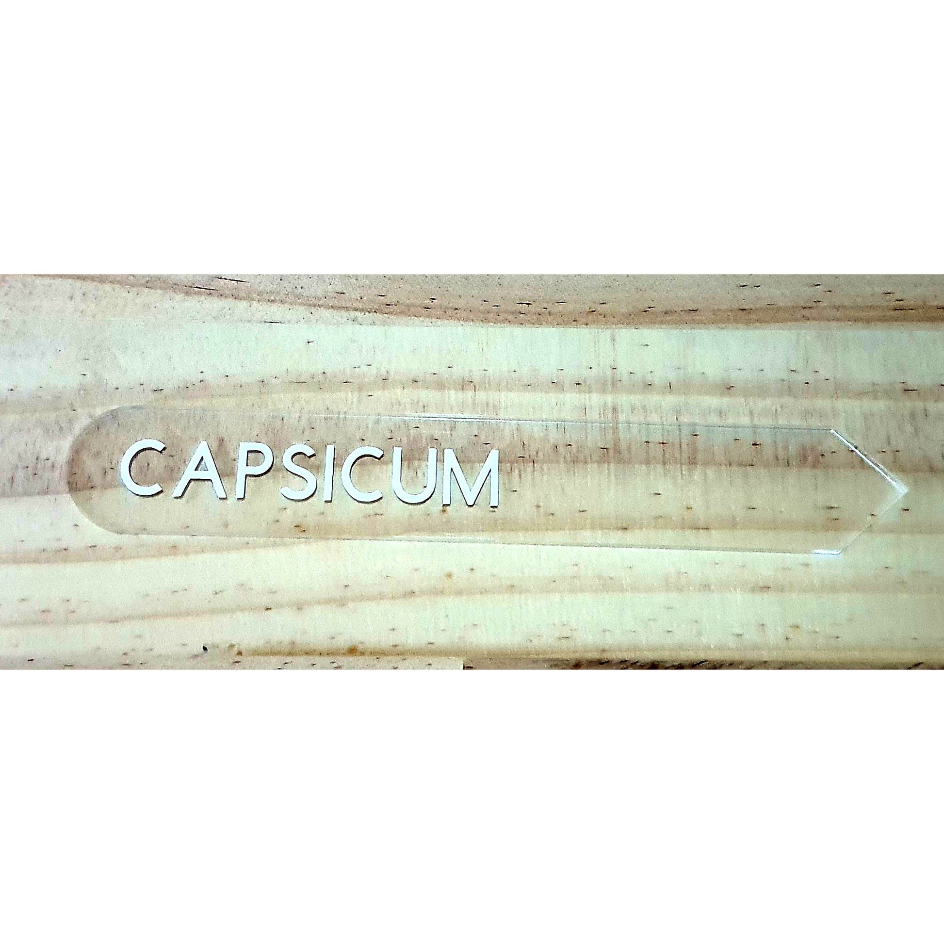 capsicum-garden-label-single