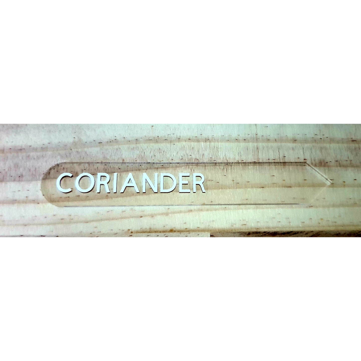Coriander Label single
