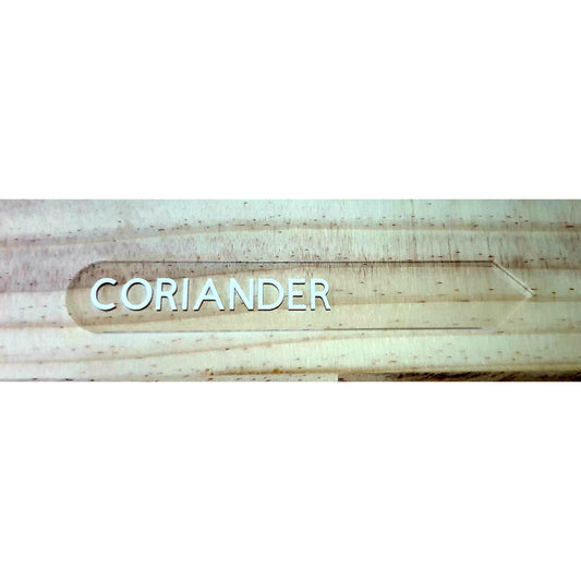 Coriander Label single